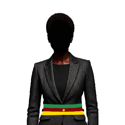 Conseiller No11